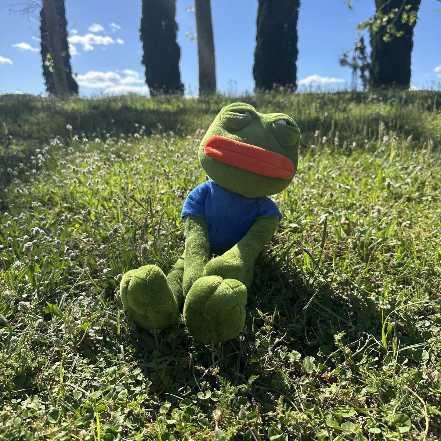 Pepe el Triste