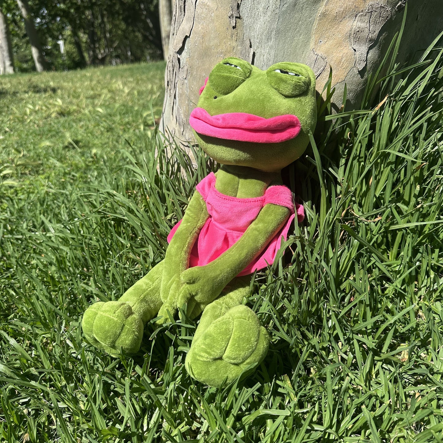 Pepe el Triste